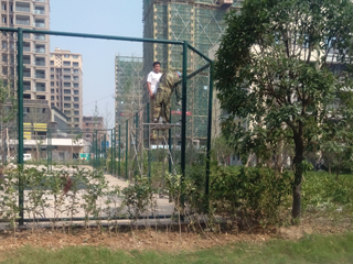 工程案例-08