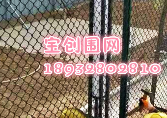 籃球場圍網(wǎng)