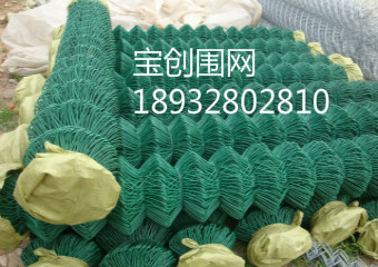 圍網(wǎng)