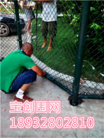 圍網(wǎng)