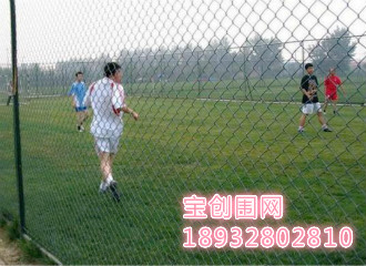 勾花護(hù)欄網(wǎng)