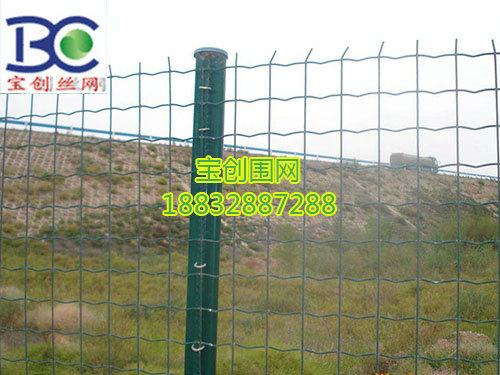 運動場圍網(wǎng)